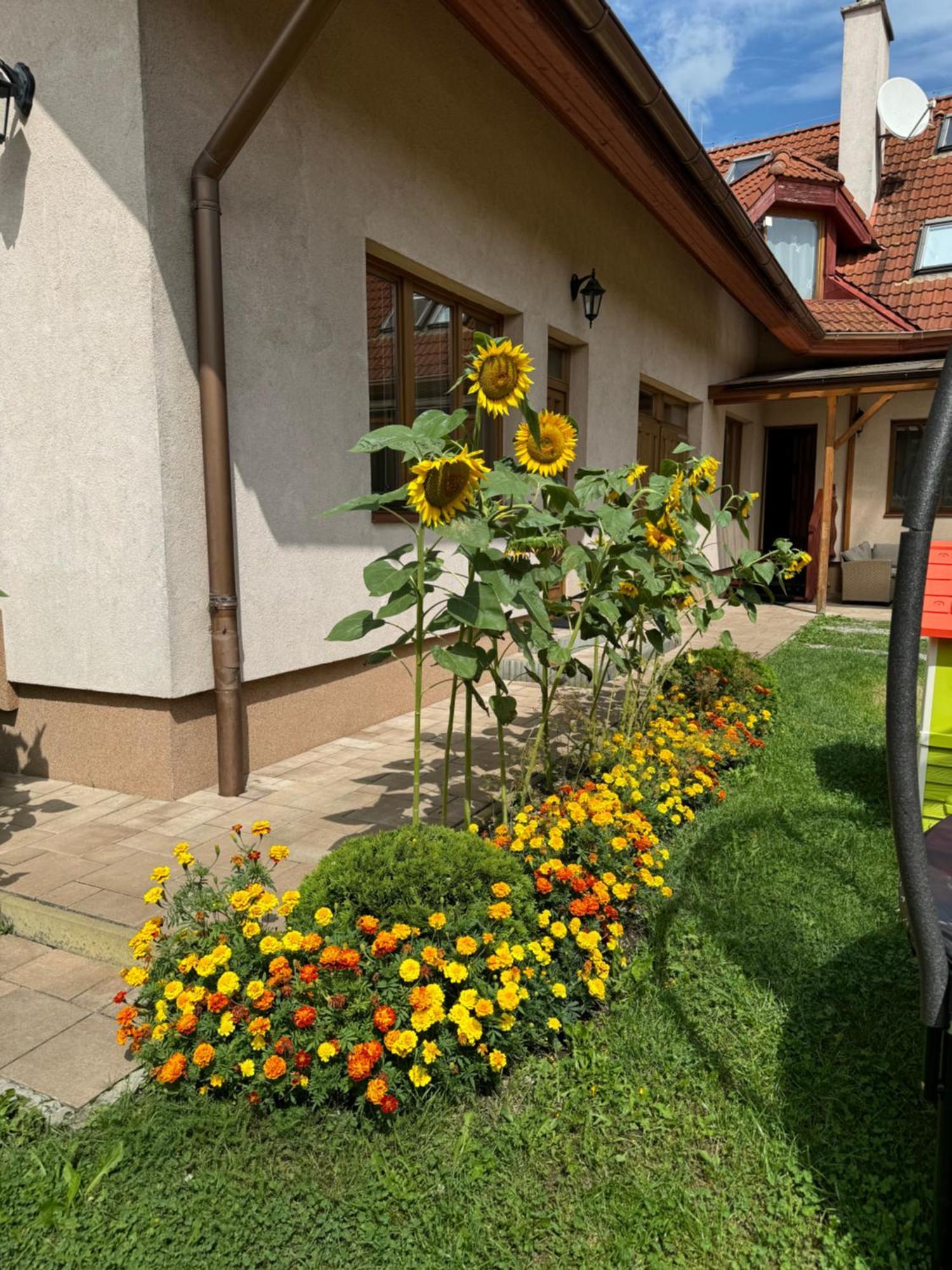 Apartament Lutra Montana Relów Zewnętrze zdjęcie